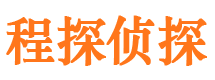 城东市侦探调查公司